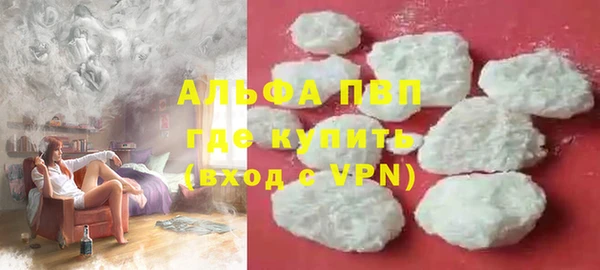 бошки Дубна