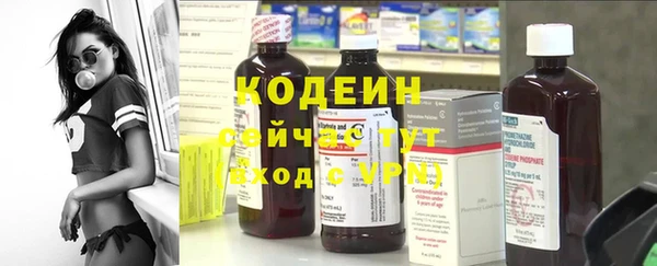 спиды Дегтярск