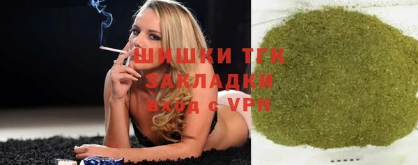тгк Дедовск