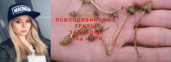 тгк Дедовск