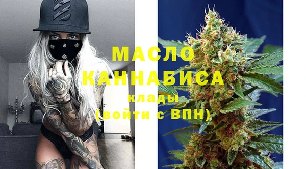 тгк Дедовск