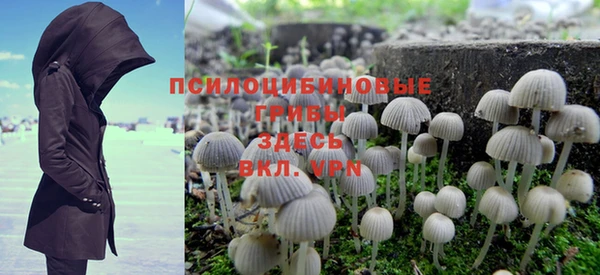 спиды Дегтярск