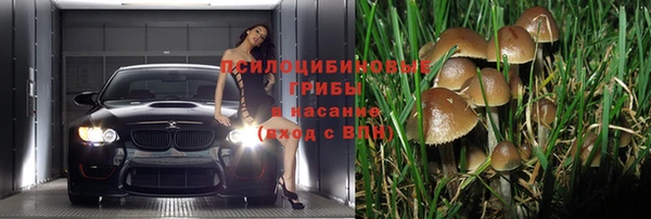 первитин Данков